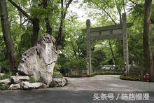 西湖十景有哪些特点（西湖十景景观特色分析） 第13张