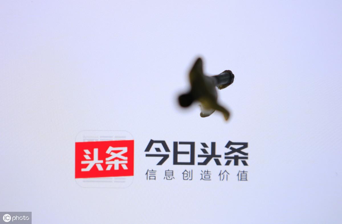 有什么副业可以在家赚钱的（网上挣钱最稳的副业推荐） 第11张