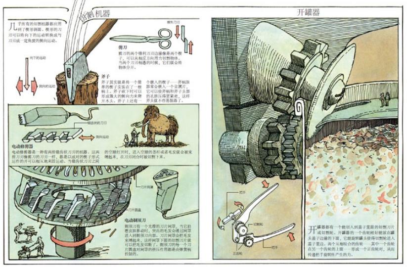 科普书籍有哪些书（小学生必看的科普书籍介绍） 第27张