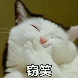 搞笑的韩国电影推荐几部（韩国黑色幽默电影） 第7张