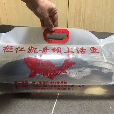 鲤鱼怎么做好吃又简单家常（简单新鲜鱼的家常做法） 第3张