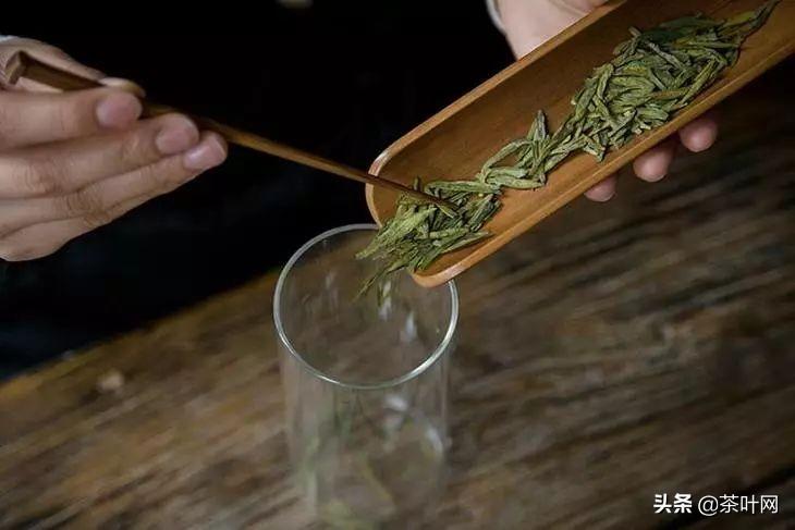 龙井茶怎么泡最好温度（泡龙井茶的正确方法） 第7张