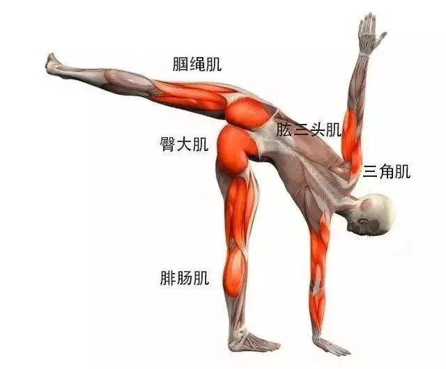 年纪大了乳房下垂松软怎么办（胸干瘪松弛下垂的改善方法） 第9张