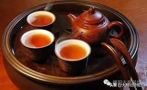 甜茶为什么叫甜茶呢（甜茶的正确学名） 第1张