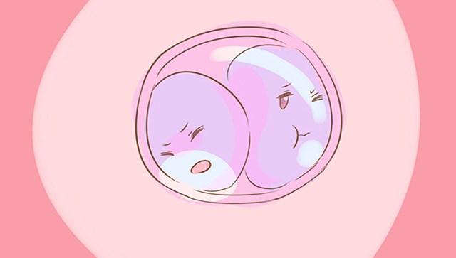 如何可以生双胞胎宝宝（想生双胞胎的孕前准备） 第3张