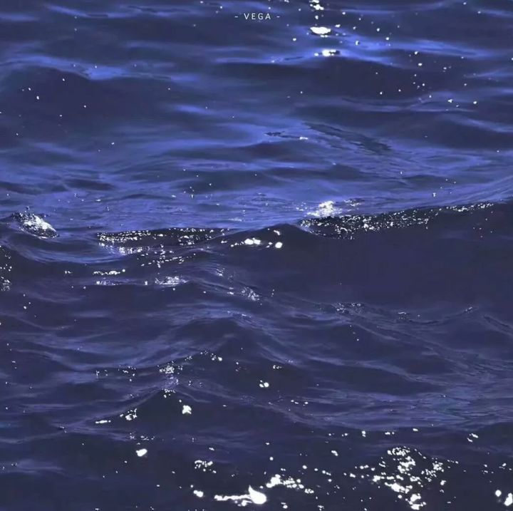 关于海的唯美句子说说（形容大海的唯美语录） 第1张