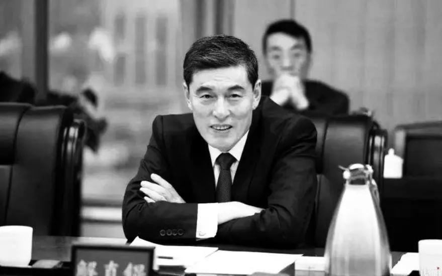 毛阿敏老公个人资料（老公解直锟心梗离世！60岁留下百亿资产） 第1张