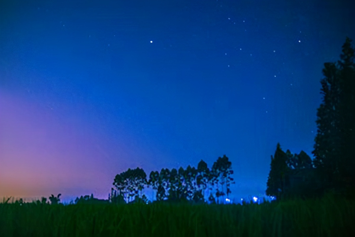西江月夜行黄沙道中的诗意（全诗赏析及诗意解读） 第11张