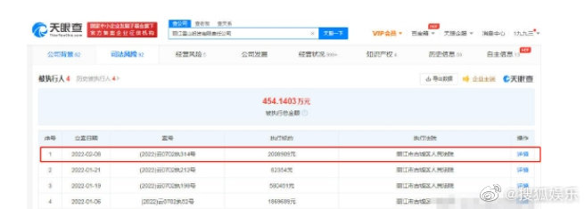 李亚鹏公司被曝接连被执行，总金额已超500万，小19岁女友不离不弃 第5张