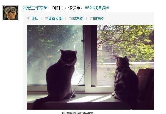 牛萌萌个人资料简介（一文读懂牛萌萌“幻灭史”） 第49张