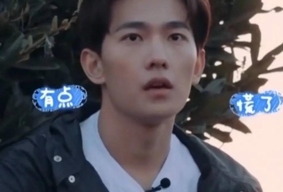 郑爽一手好牌打烂，究竟是自作自受，还是被人栽赃陷害？ 第21张