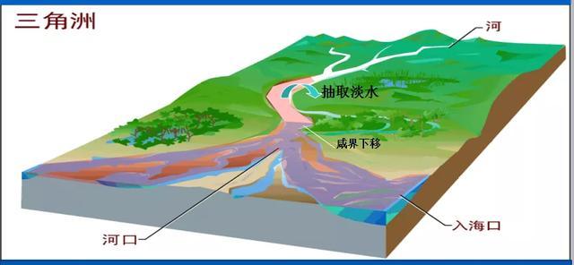 澳门回归22周年（祝福澳门明天会更好） 第9张