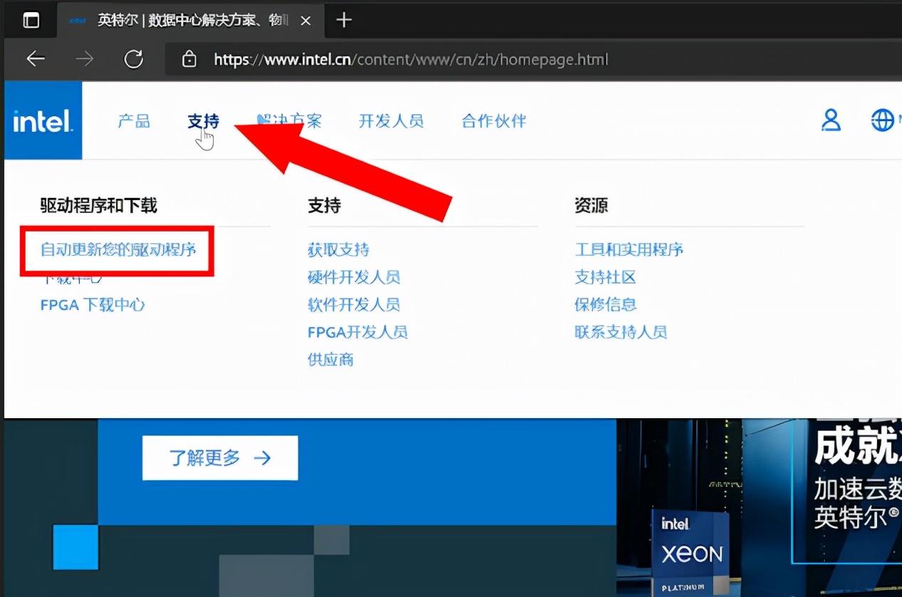 显卡驱动怎么更新？保姆级显卡驱动更新图文教程 第3张