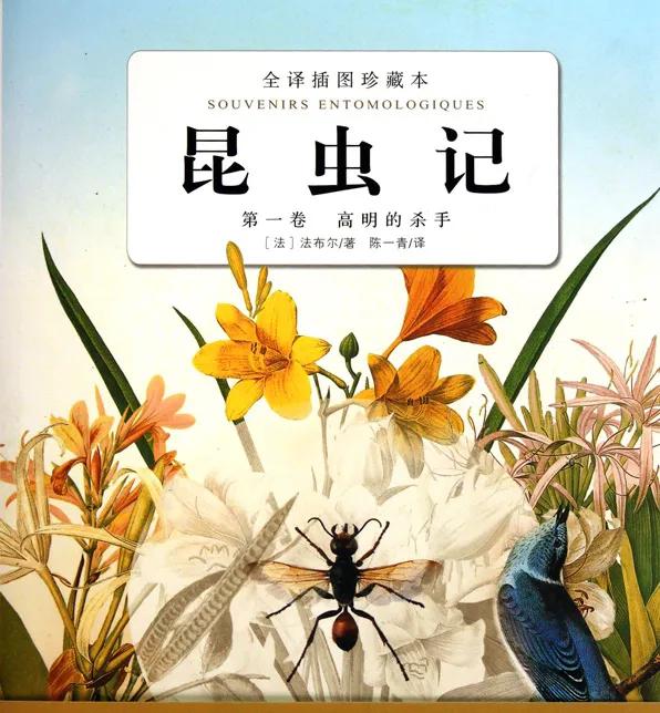 昆虫记好句摘抄赏析（昆虫记好句好段摘抄及感悟） 第1张