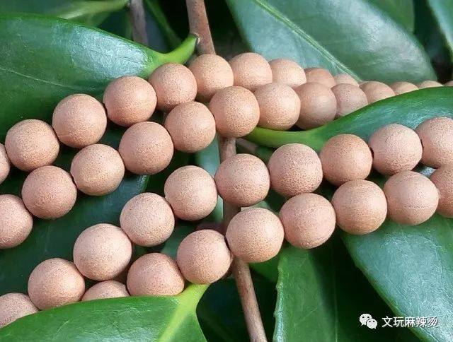 几种常见文玩菩提的寓意及颗数含义 第35张