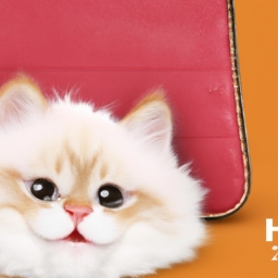 天猫红包怎么用(天猫红包有什么使用技巧) 第1张