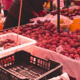 什么叫市场分布(市场分布解析) 第1张