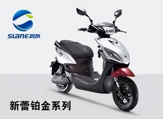 国内电动车排行榜前十名（2022十大电动车品牌） 第11张