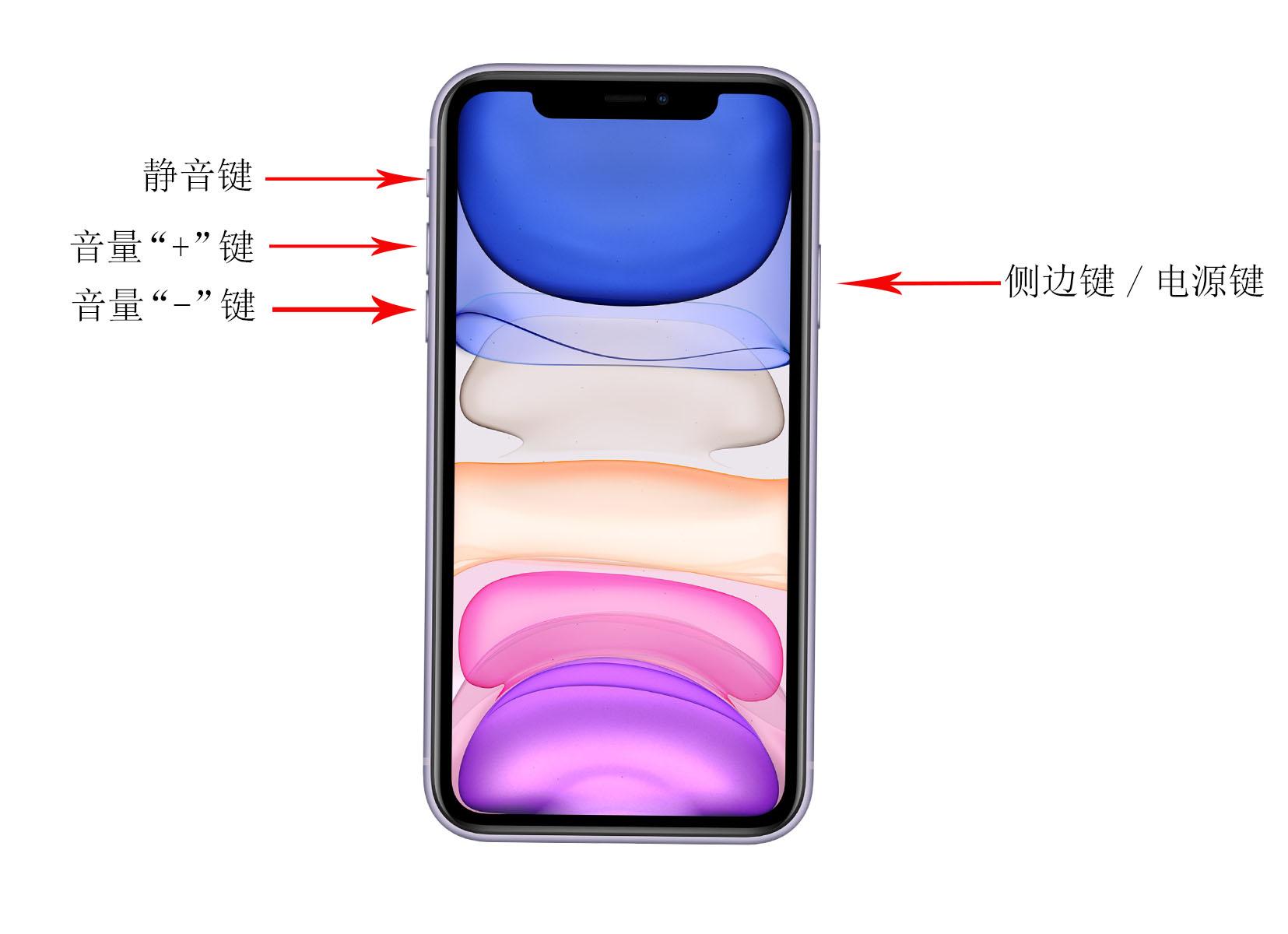 苹果12如何强制重启，iphone12如何强制重启