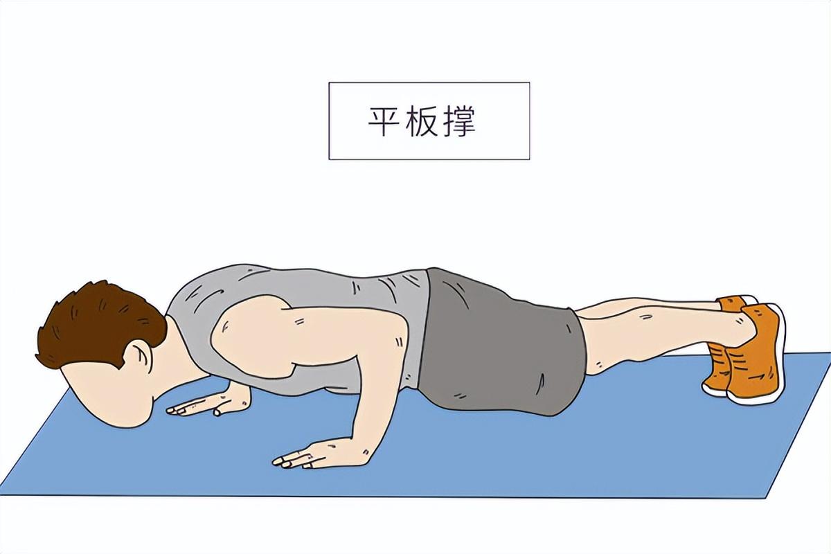 平板支撑锻炼哪些肌肉（简单易学的平板支撑有什么用） 第3张