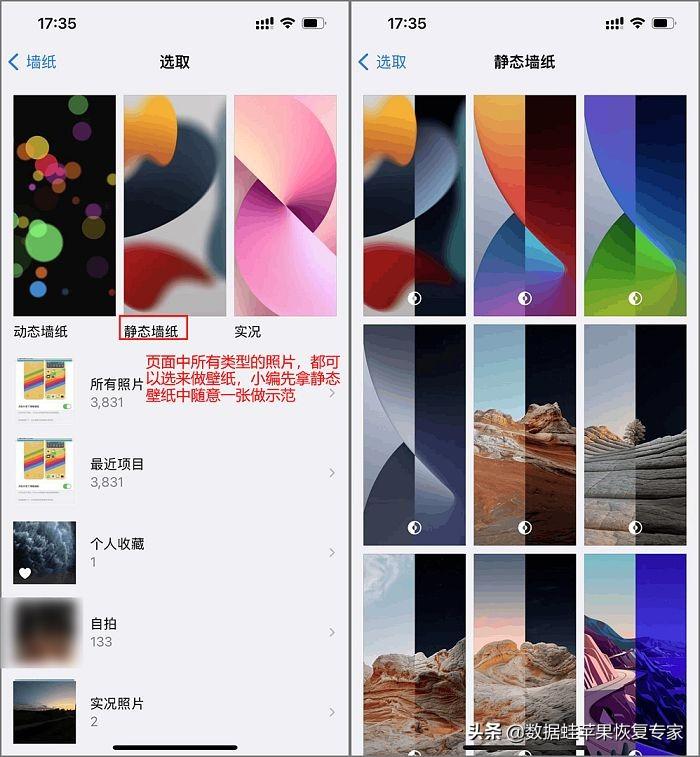 苹果手机怎么换壁纸和主题（iPhone桌面一键美化教程） 第5张