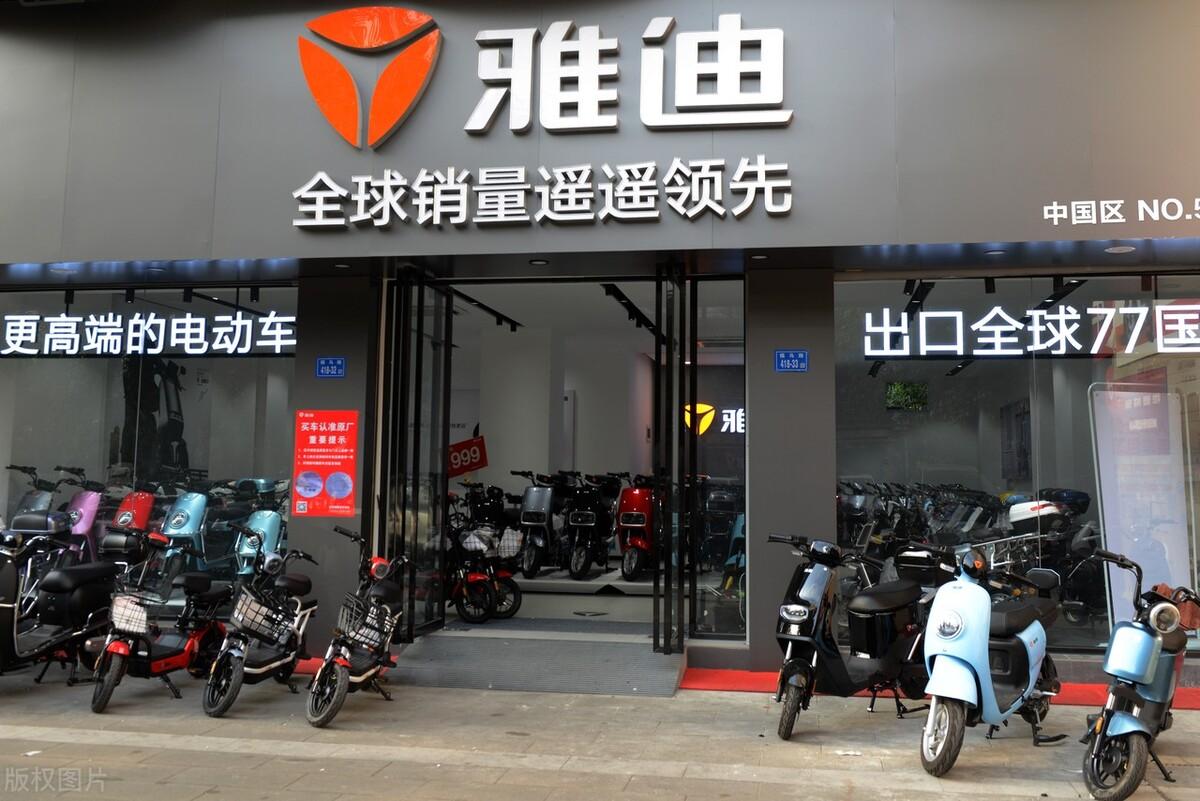 中国电动车质量排名前十名（全国十大品牌电动车推荐） 第1张