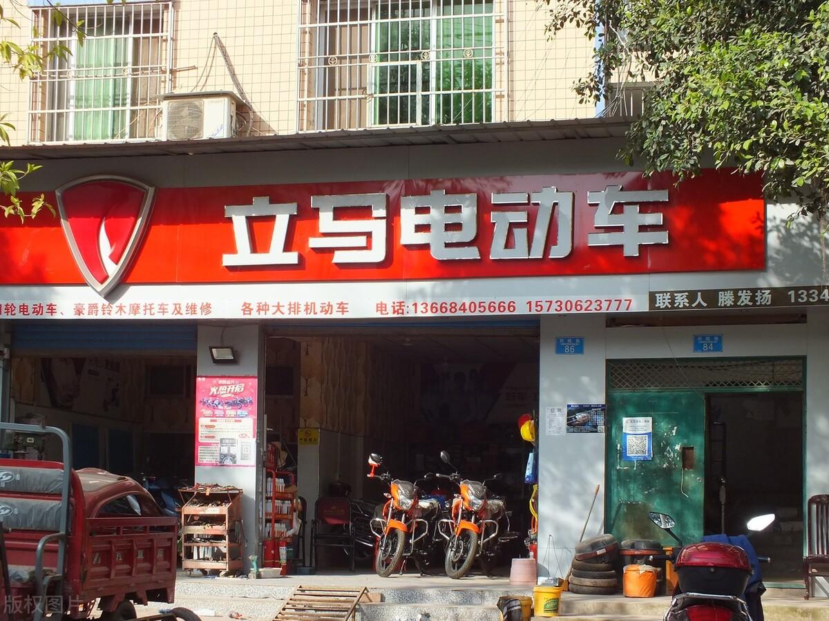 中国电动车质量排名前十名（全国十大品牌电动车推荐） 第15张