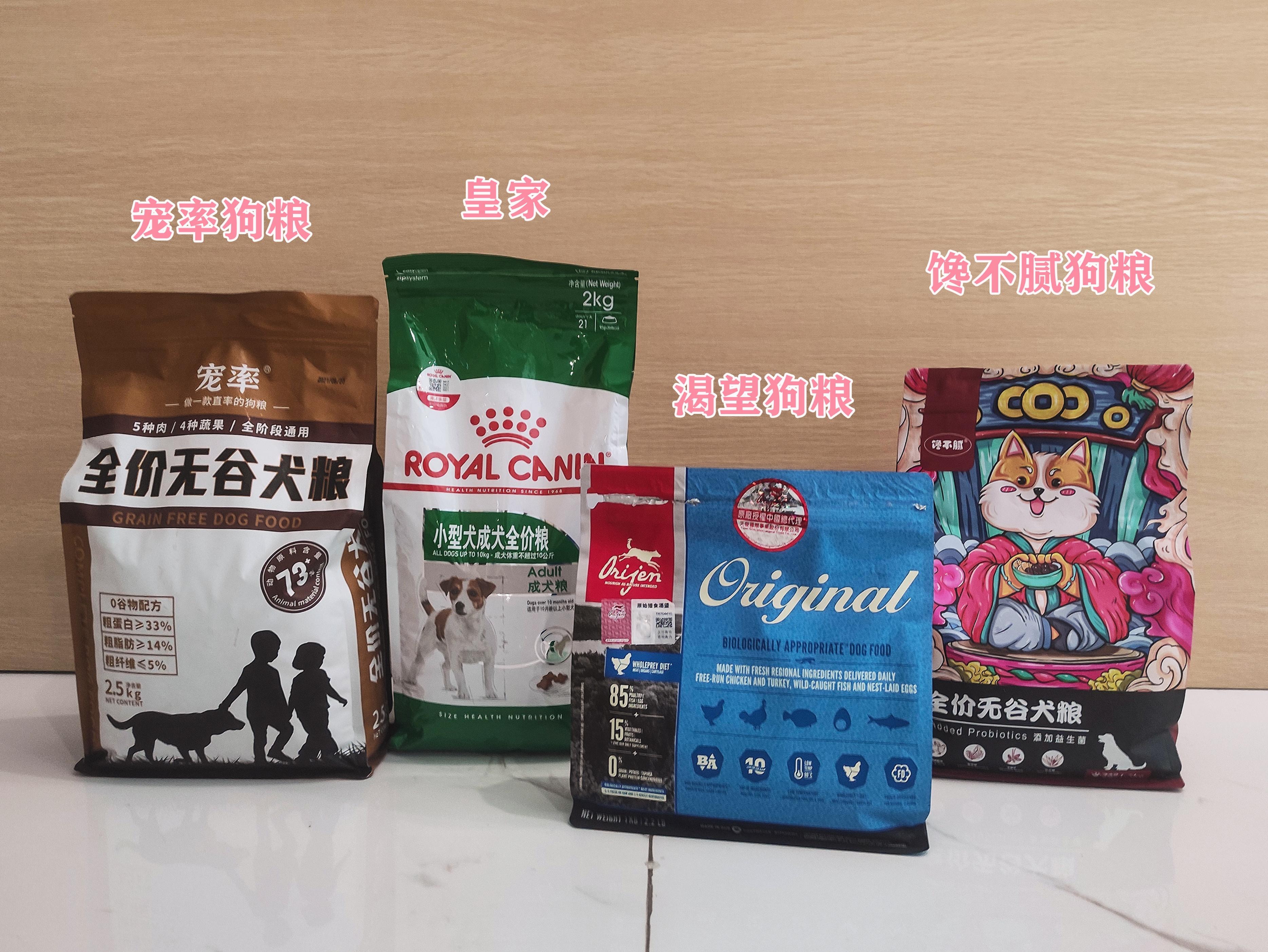 适合小朋友养的狗十大排名（性格温柔善良无攻击性的狗） 第13张