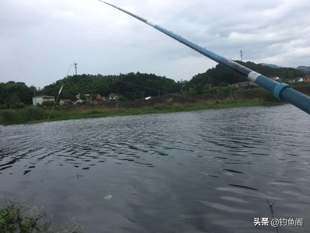 钓鲫鱼用几克铅的浮漂比较好（钓鲫鱼选漂有什么讲究） 第7张