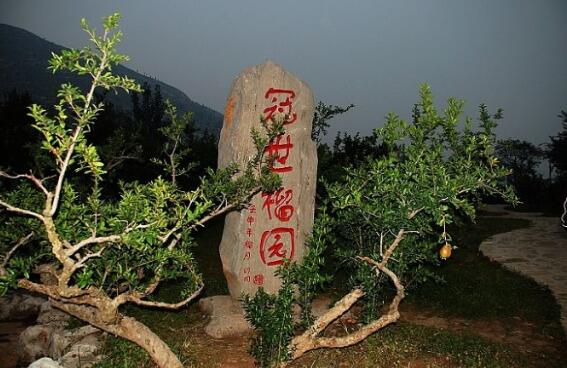 枣庄旅游景点大全排名榜（盘点枣庄十大好玩的景点） 第1张