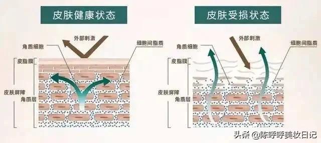 化妆水和爽肤水一样吗（化妆水跟爽肤水有什么区别） 第9张