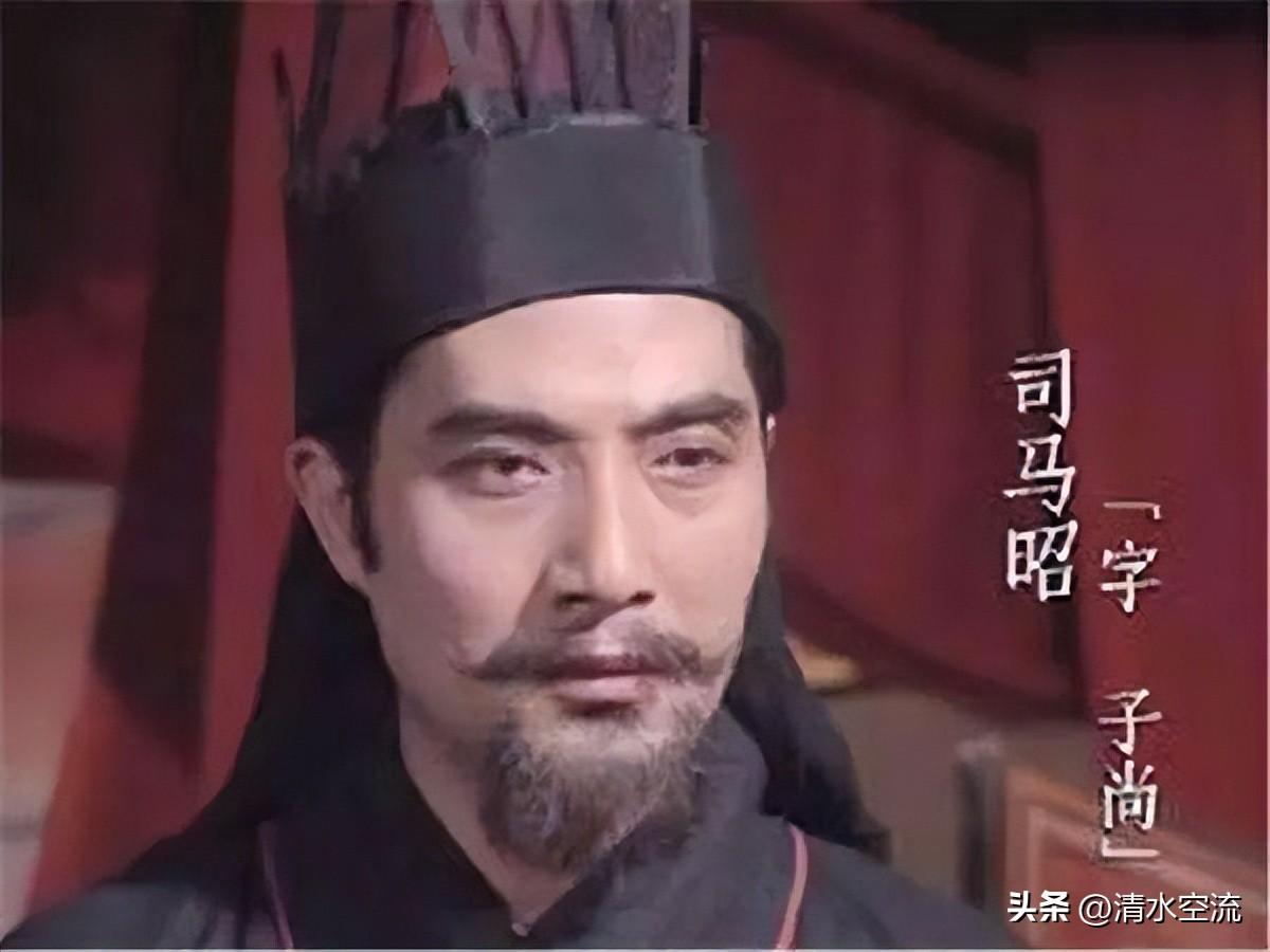 诸葛诞和诸葛亮什么关系（诸葛诞为何死于司马师之手） 第13张
