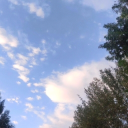 天使焦职业叫什么(天使焦：圣洁与毁灭的化身) 第1张