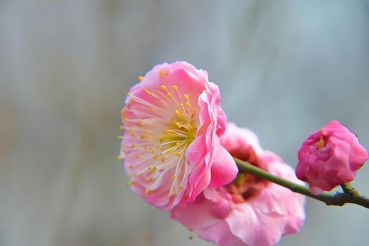 妻子变漂亮的原因（中年女人变得越来越漂亮的原因） 第1张