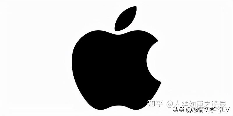 热门笔记本电脑排行（2022手提电脑推荐） 第7张