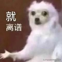手机突然黑屏怎么回事（手机黑屏打不开解决方法） 第1张
