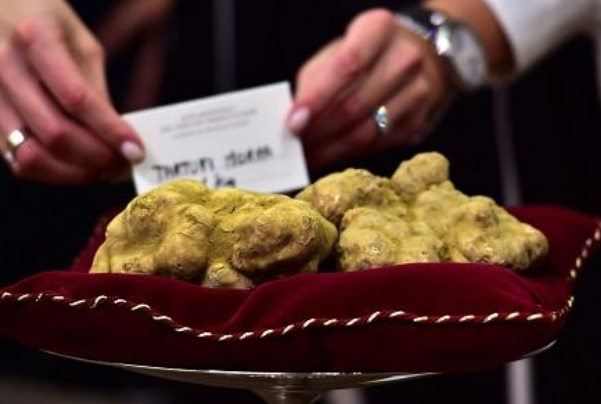 全球最贵的十大食材 全球最贵的食材有哪些 第11张