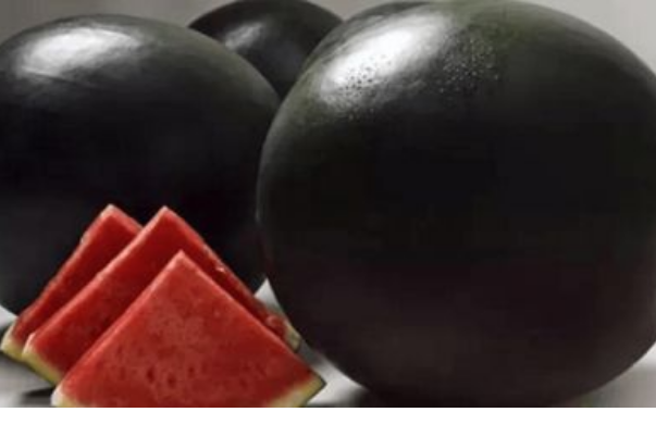 全球最贵的十大食材 全球最贵的食材有哪些 第17张