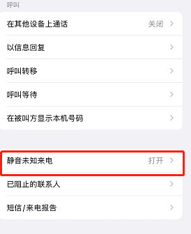 苹果手机怎么拦截陌生号码来电（iPhone手机拦截骚扰电话方法） 第9张