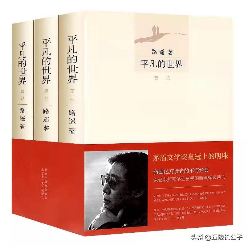 茅盾文学奖公认前十作品（十部必读的茅盾文学奖获奖作品） 第3张