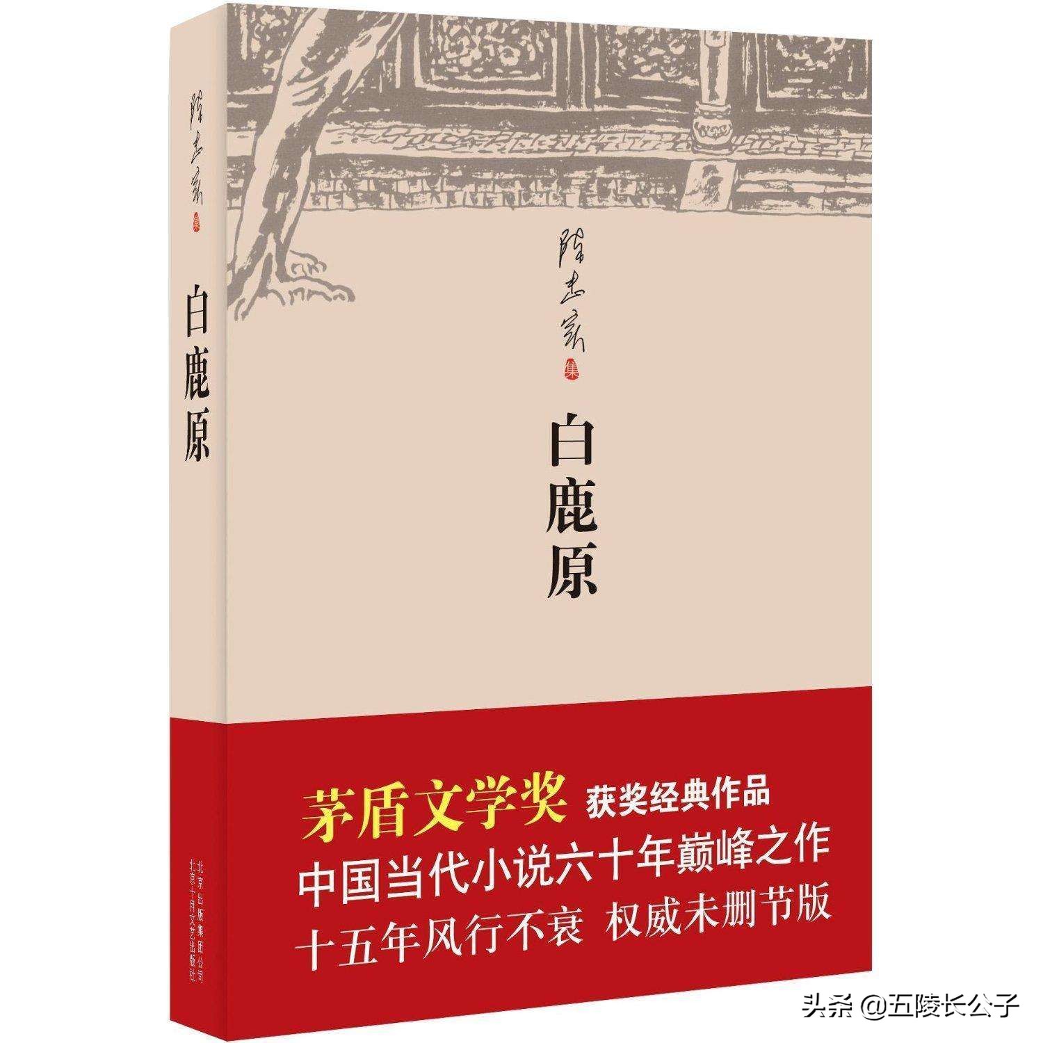 茅盾文学奖公认前十作品（十部必读的茅盾文学奖获奖作品） 第5张