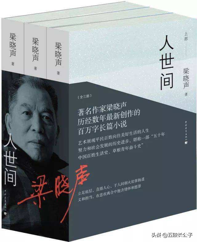 茅盾文学奖公认前十作品（十部必读的茅盾文学奖获奖作品） 第17张