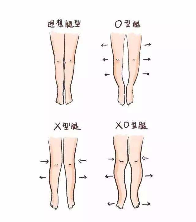 腿长怎么量从哪到哪标准（正确量腿长的方式图解） 第13张