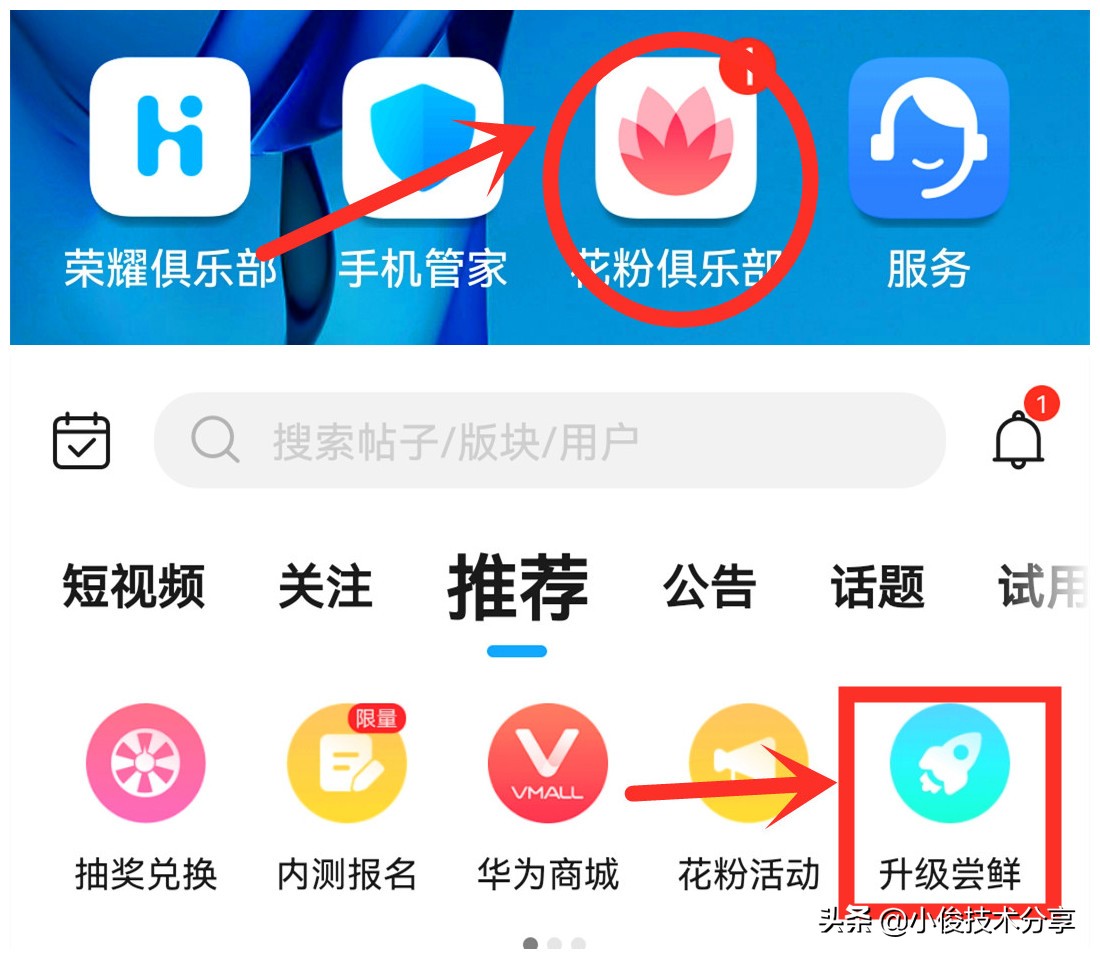 荣耀手机能升级鸿蒙系统吗（荣耀手机升级鸿蒙系统3种玩法） 第7张