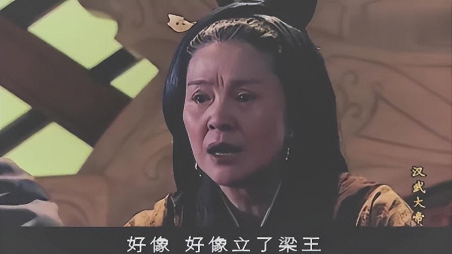 窦漪房的历史简介（窦漪房靠什么活得那么幸福） 第15张
