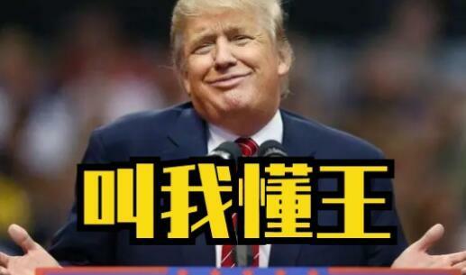 懂王是什么意思（懂王什么梗，是怎么来的） 第5张