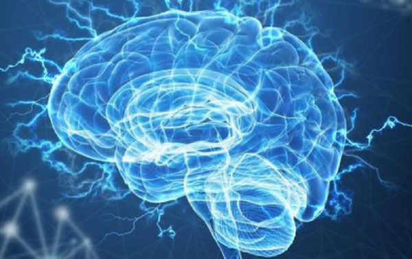 世界十大最难学科排行榜，神经科学一举夺冠，物理学无缘前五 第1张