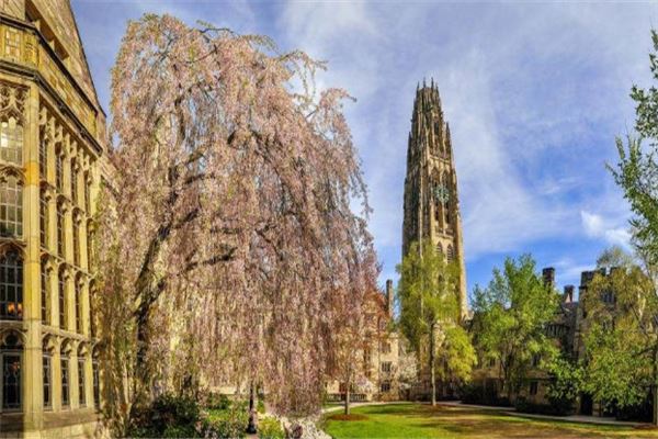世界排名前十的法学院：牛津大学仅第五，哈佛大学居第一 第15张