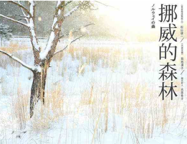 外国悲剧文学作品推荐 人潸然泪下的悲剧文学 第3张
