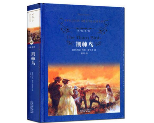 外国悲剧文学作品推荐 人潸然泪下的悲剧文学 第7张